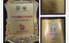 yl8cc永利喜获中国药店博览会多项殊荣