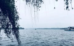 中国·yl8cc永利(股份)有限公司-官方网站
