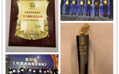 中国·yl8cc永利(股份)有限公司-官方网站